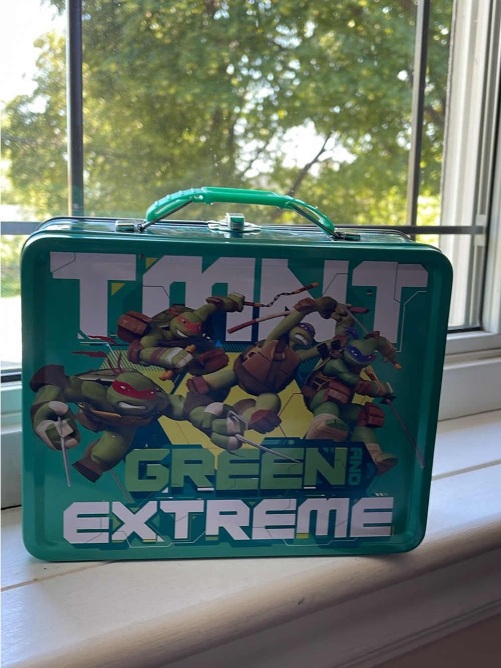 Teenage Mutant Ninja Turtles 'Green and Extreme' Metal Lunchbox